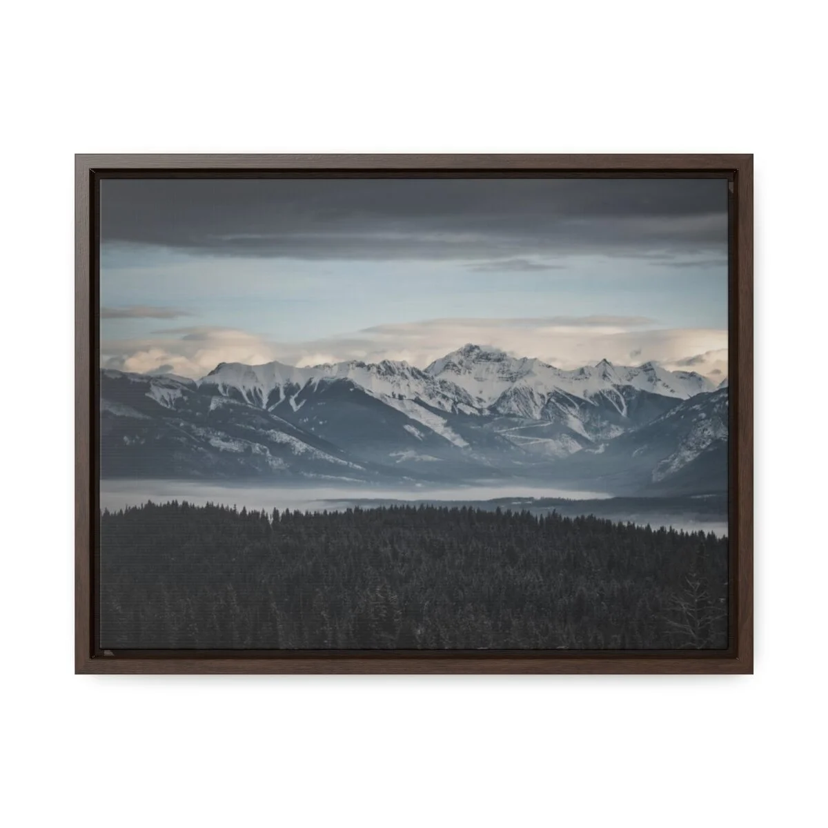 67052fd3b9f21fed7bf77a8341022f20