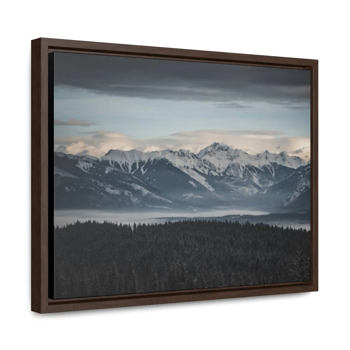 2da5280ddfb40f7474427b22620c0f95