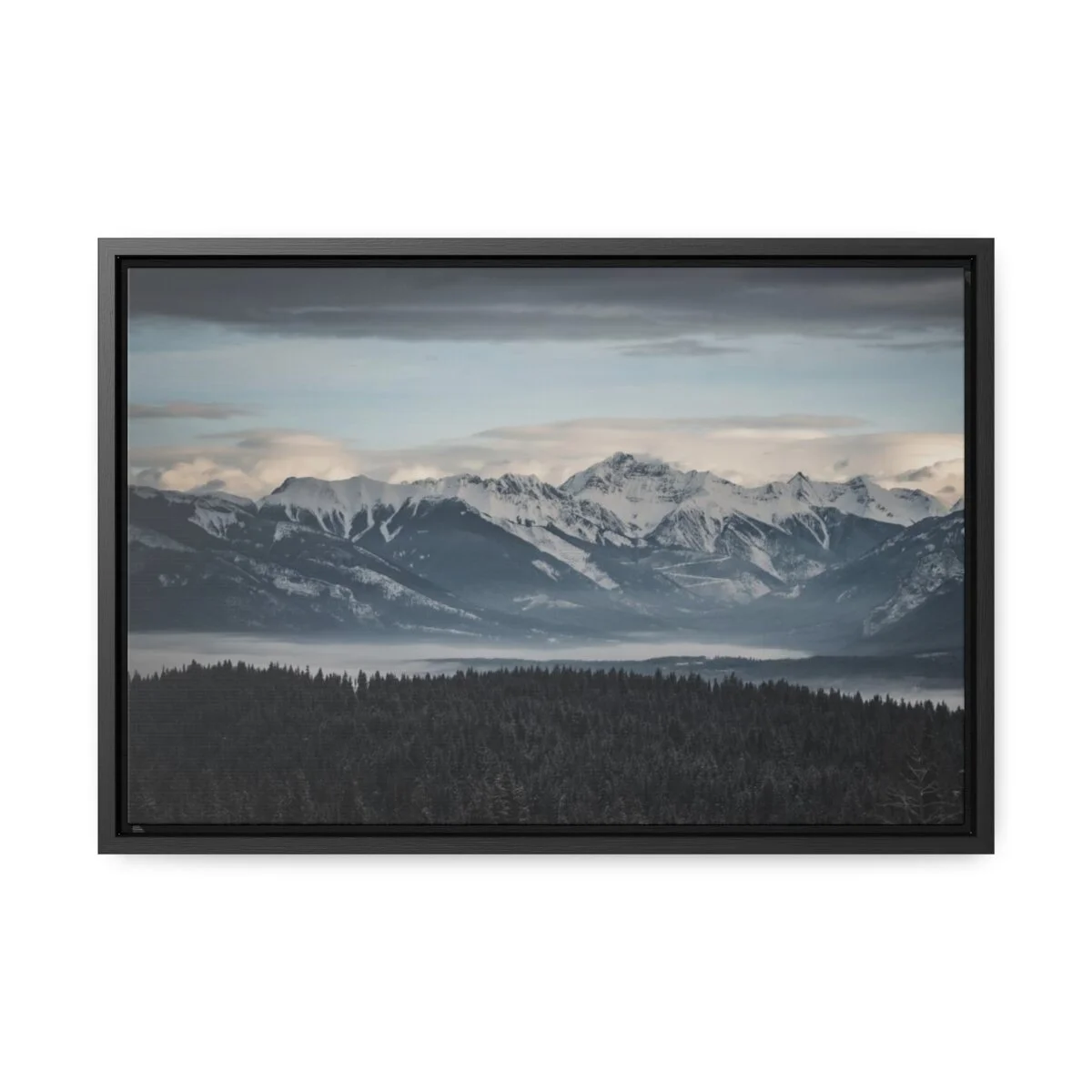 6fa8d8444f6bc326af6efa3f9f08953c