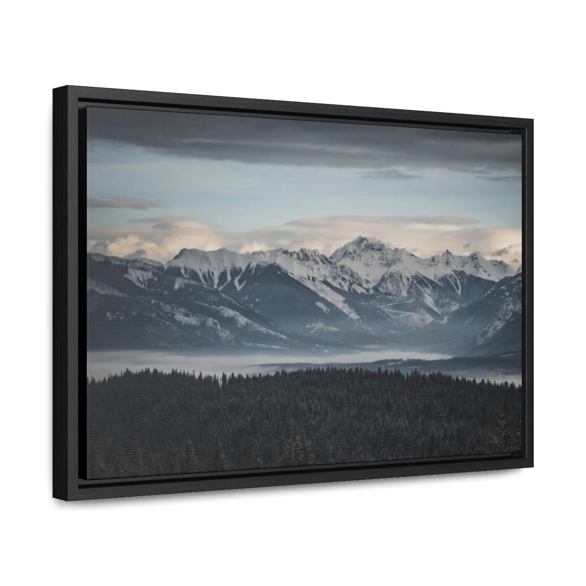 2a66291805e21ece7ca7bded646ac88c