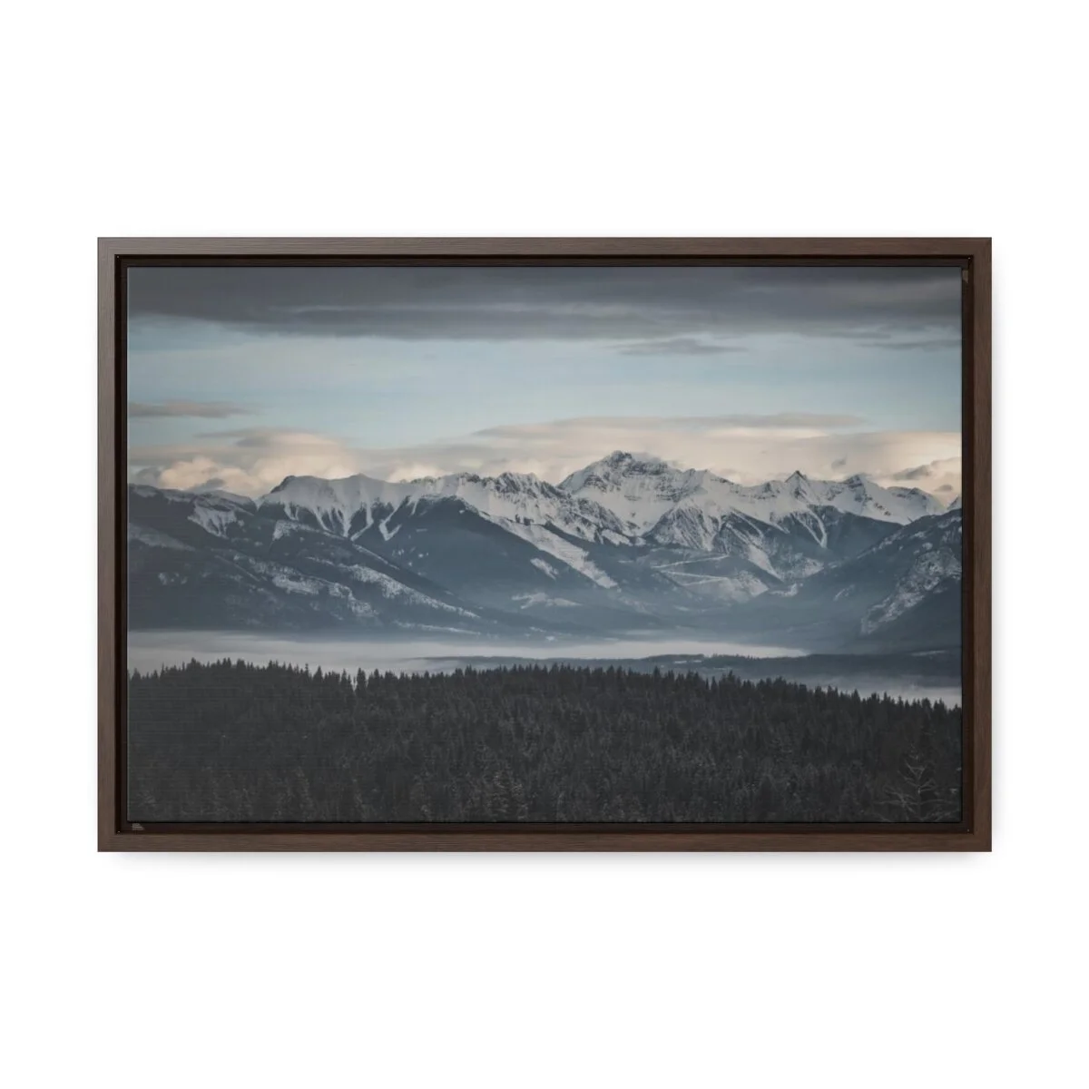 359b18af9dd0cf31ead6a304c1c01853