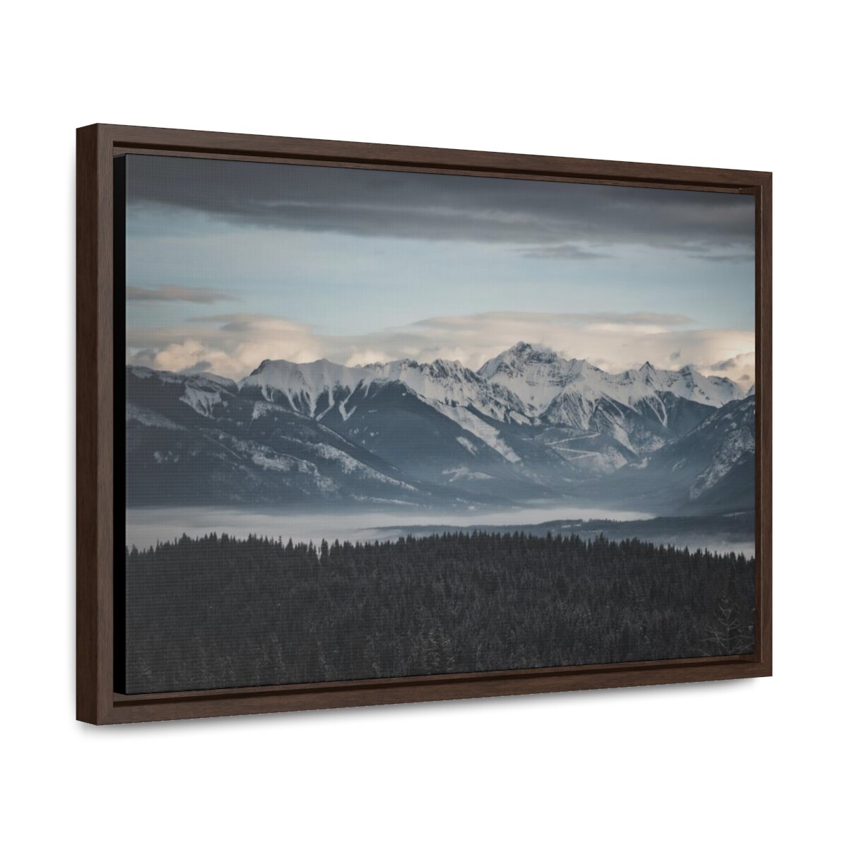 5779784c8e84044824a97166143ab5c4