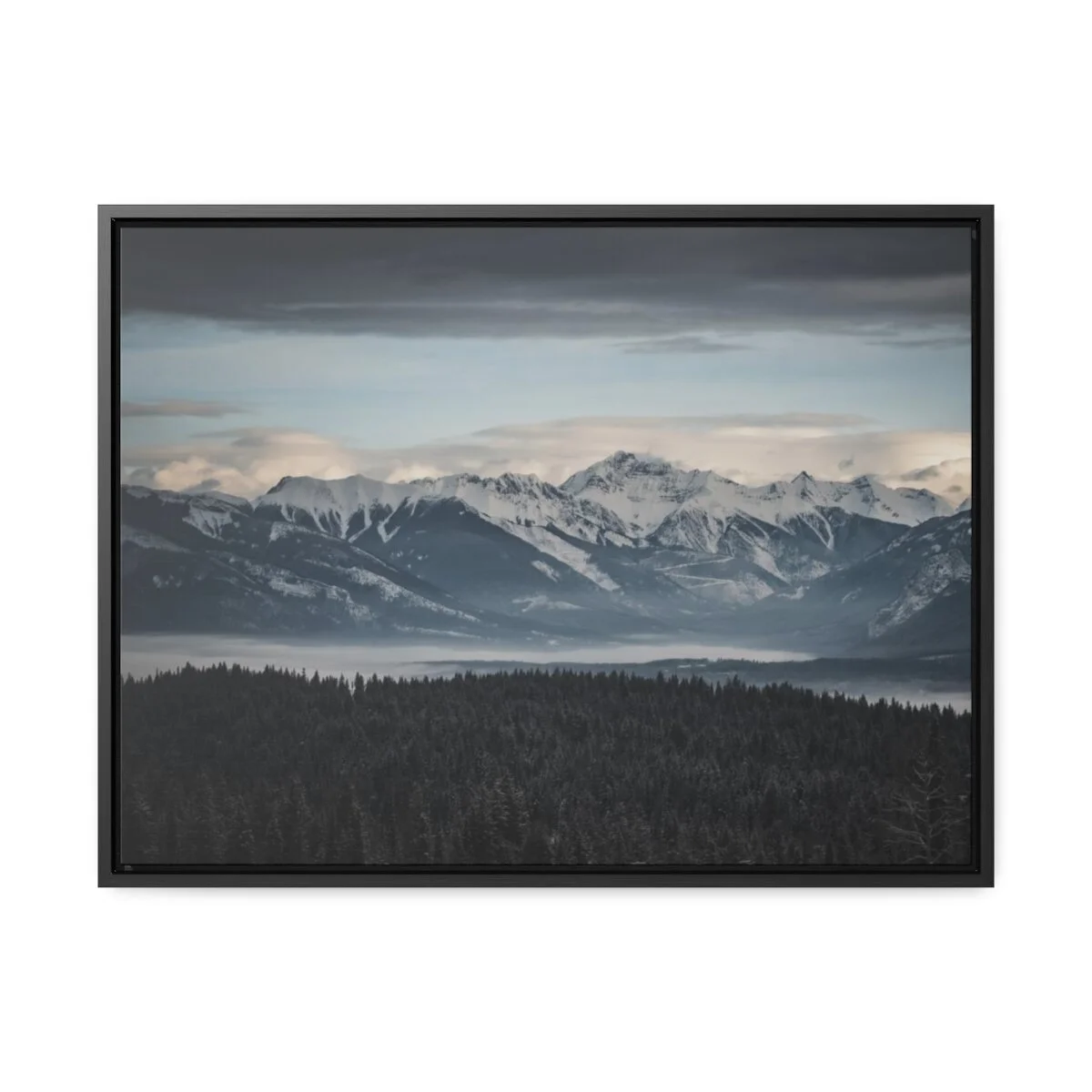 bff573054140cb02574450143868e872