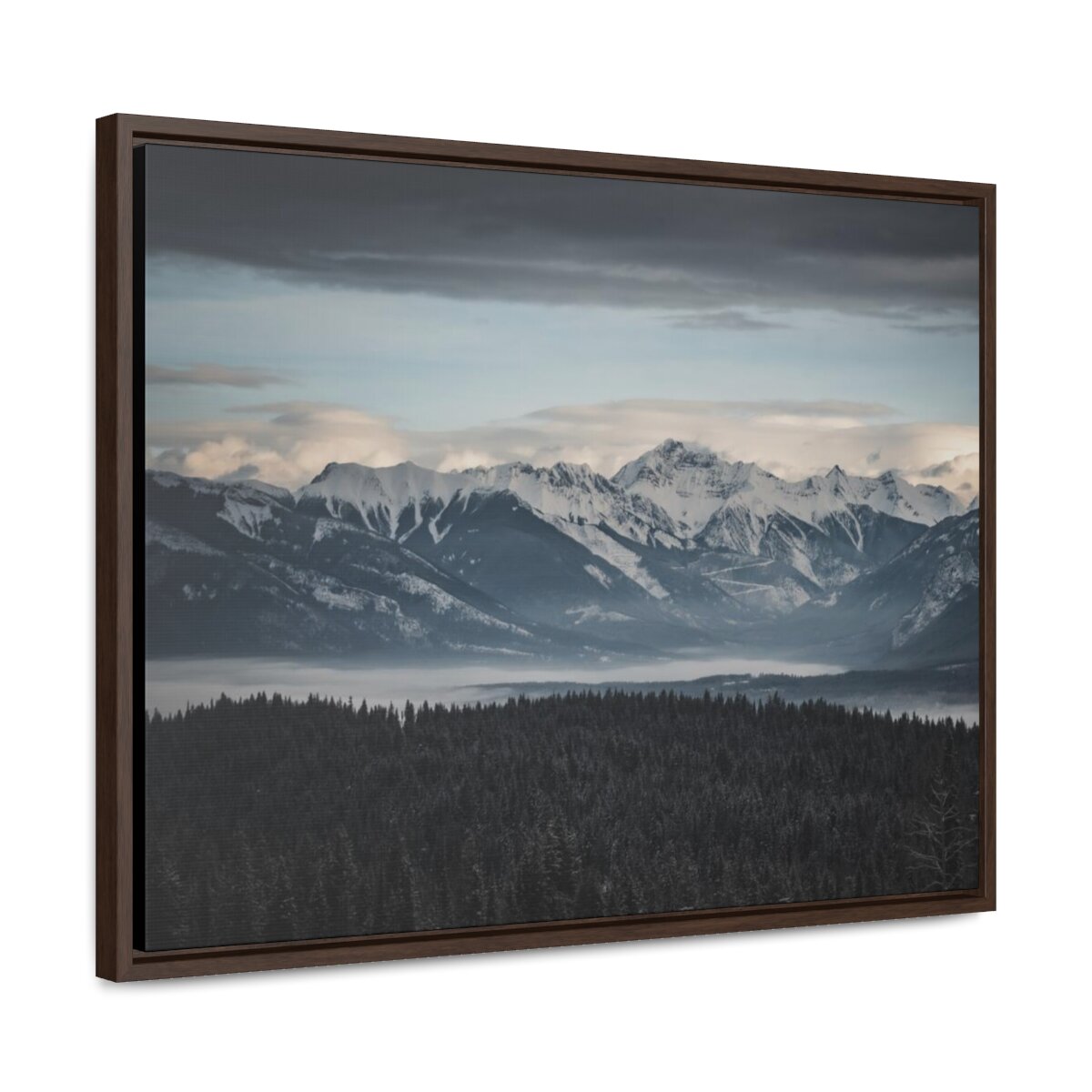 8e123ae4e9aa146de0595b140115ef39