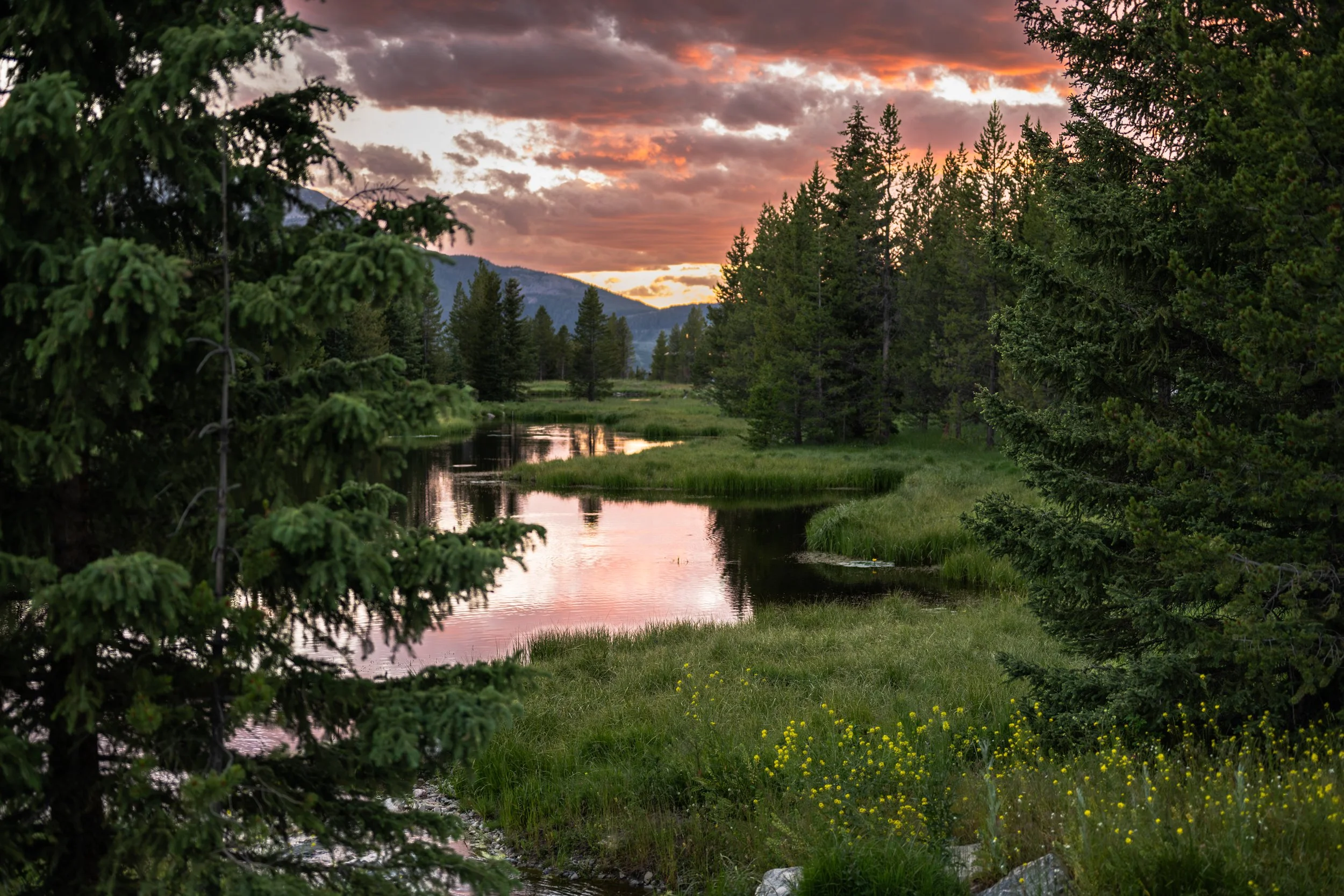 DSC_7183-3.jpg
