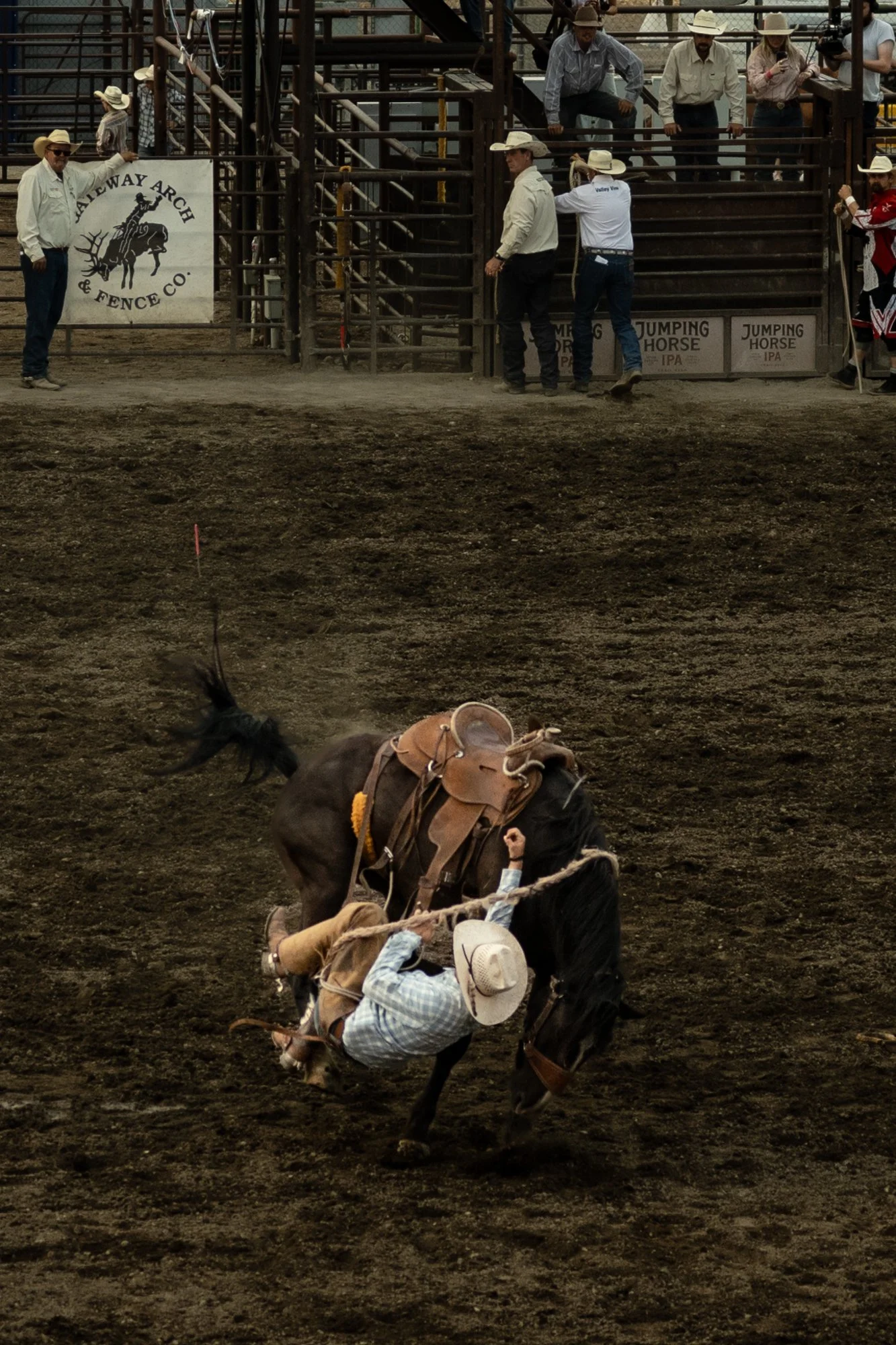 DSC_3972-4.jpg