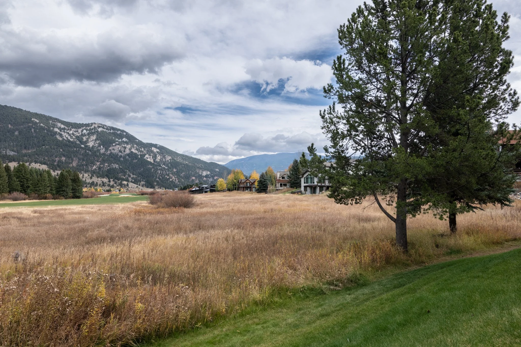 DSC_1038-3-HDR-2.jpg