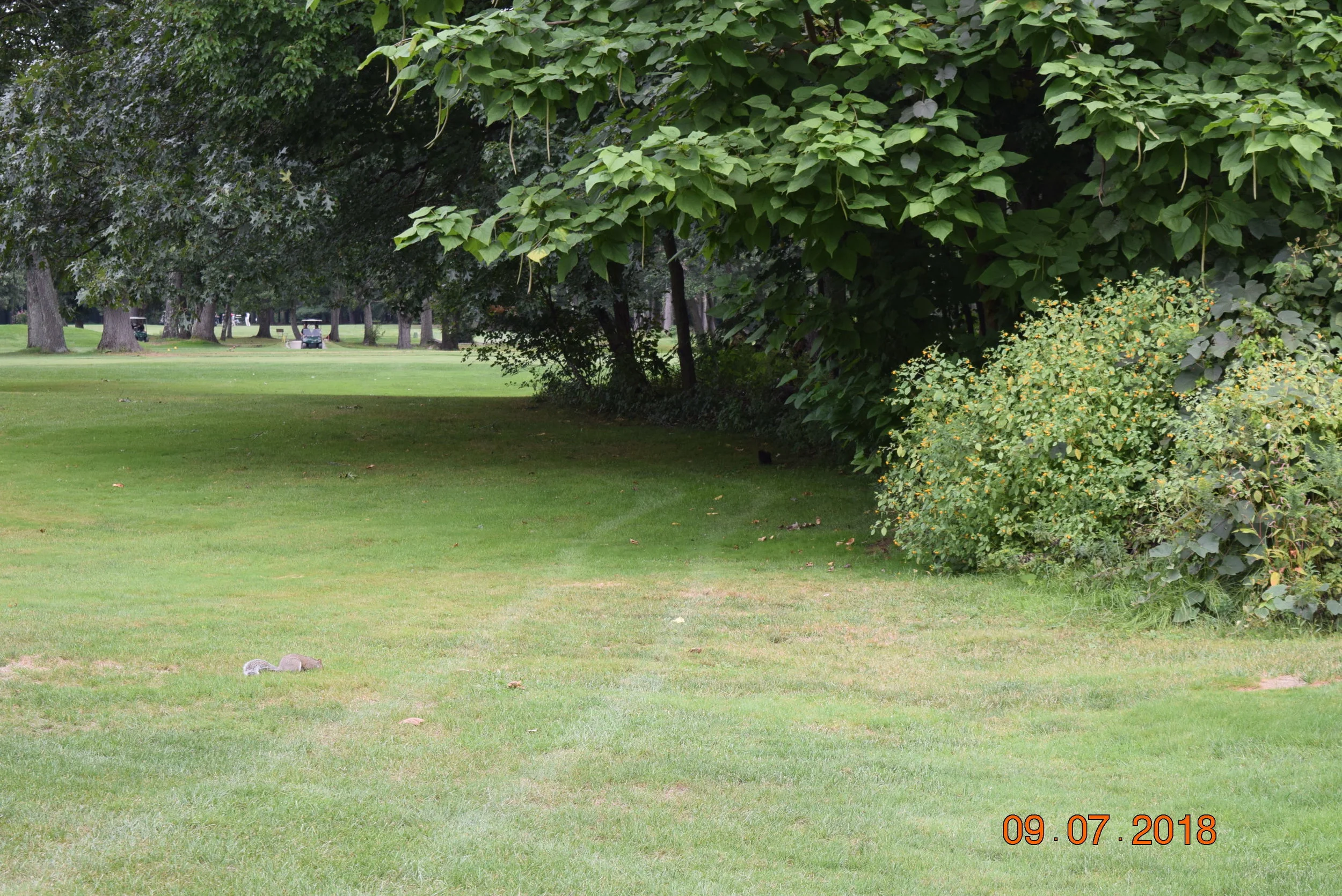 MJD Tee it up for the cure 2018 (99).JPG