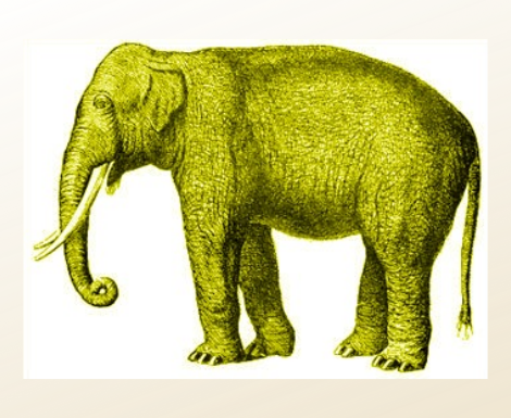 The Elephant in the Room: A Consultant’s Project Fee