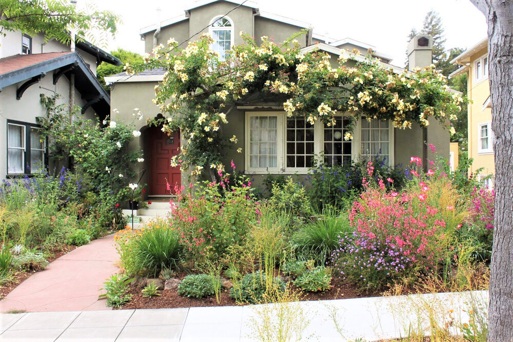 California Native Plants In The Garden, Northern California Front Yard Landscaping Ideas