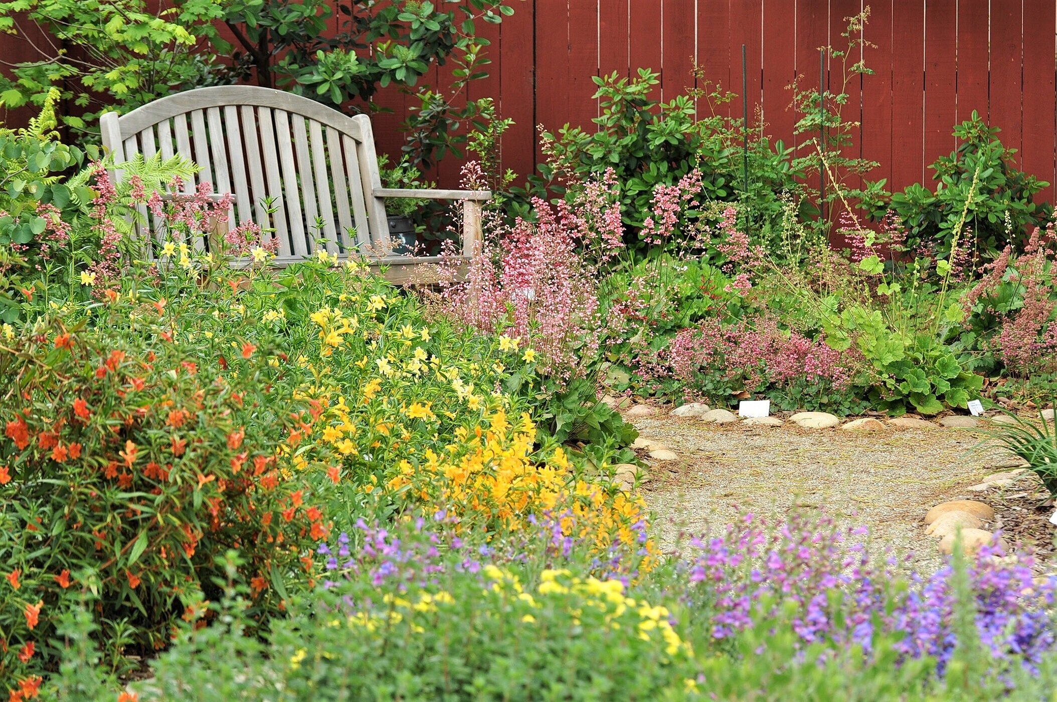 How to Use California Native Plants in the Garden — Studio20Napa