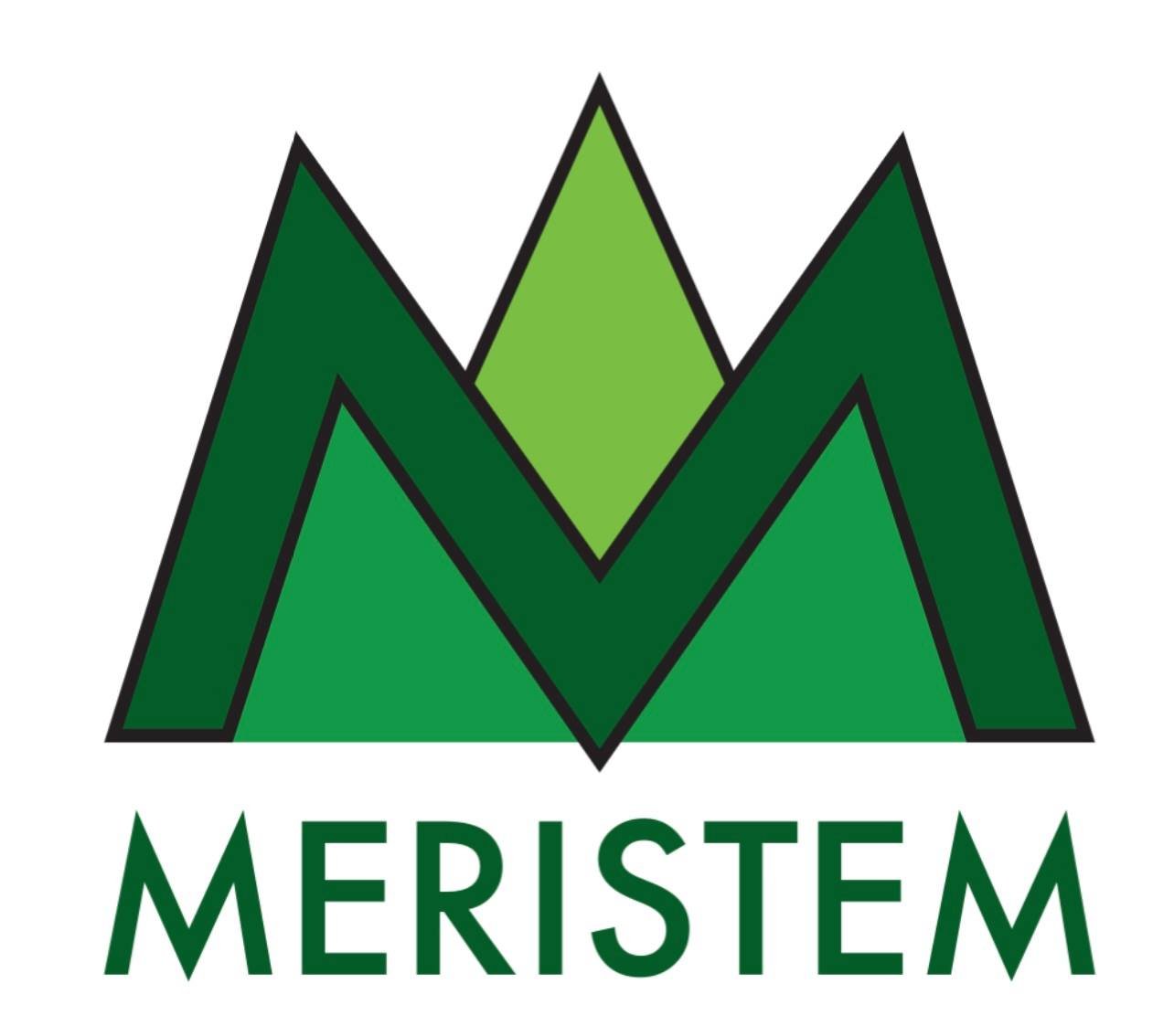 Meristem (Copy)