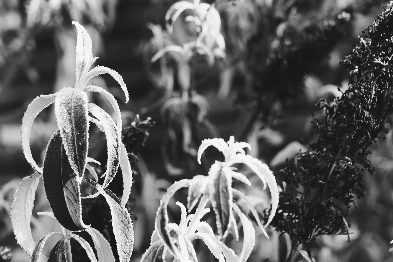 034BFDBA-F1AB-4AB0-B5BF-870CB18C03F5.jpg
