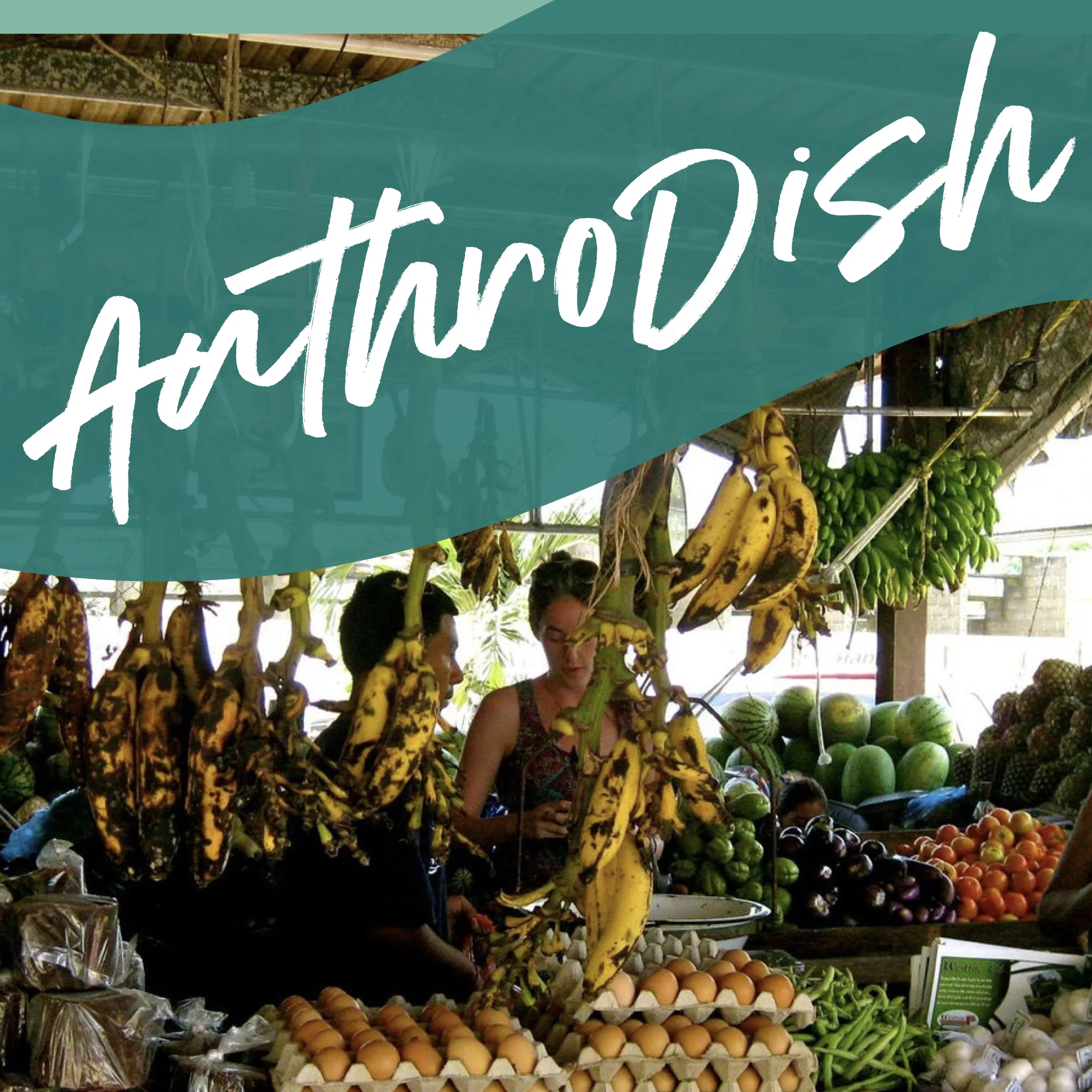 AnthroDish giveaway image.001.jpeg