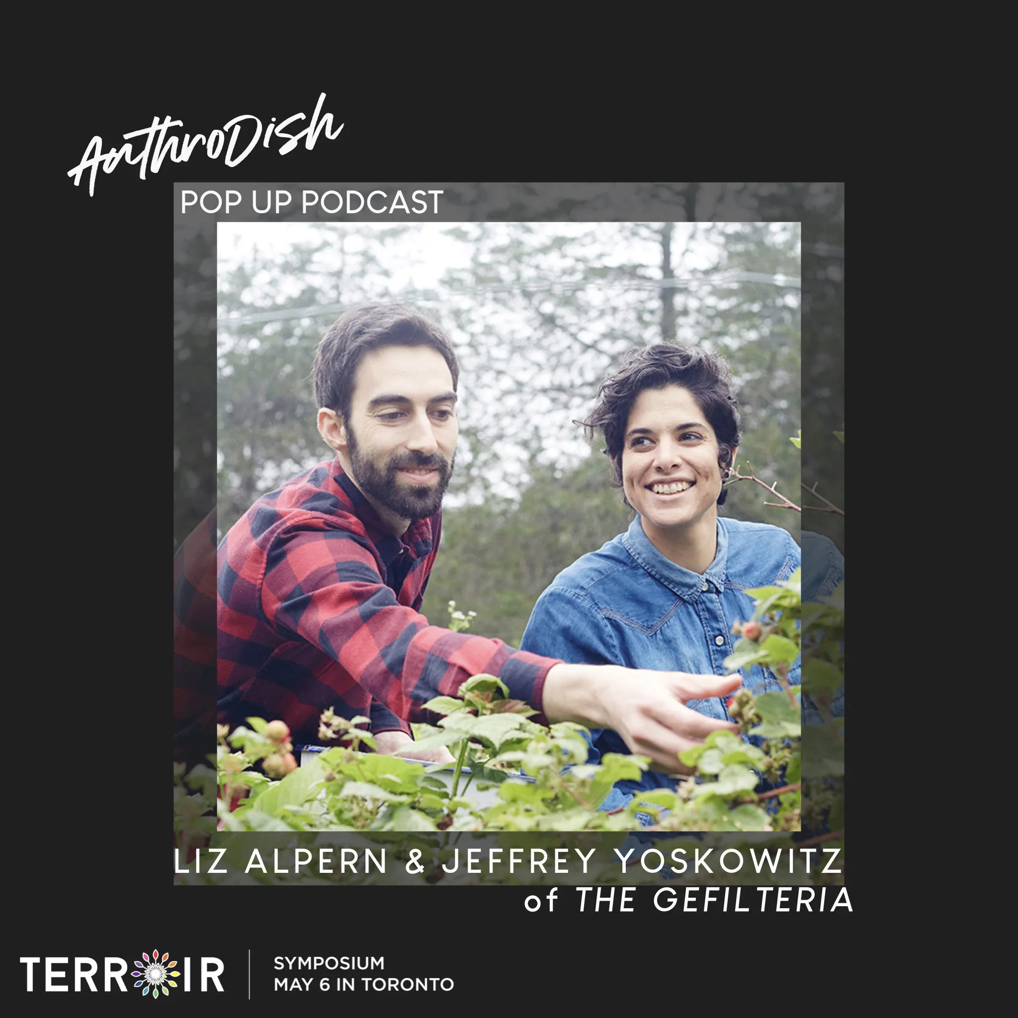 Gefilteria Promo.001.jpeg