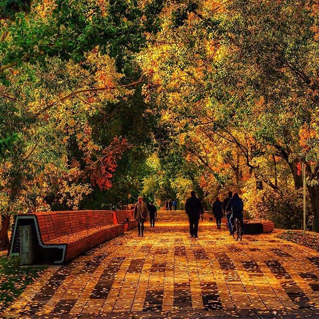 Our Eau Claire pathway looks sensational throughout all seasons ! 🍁 Thanks for the 📷: @j316photographic