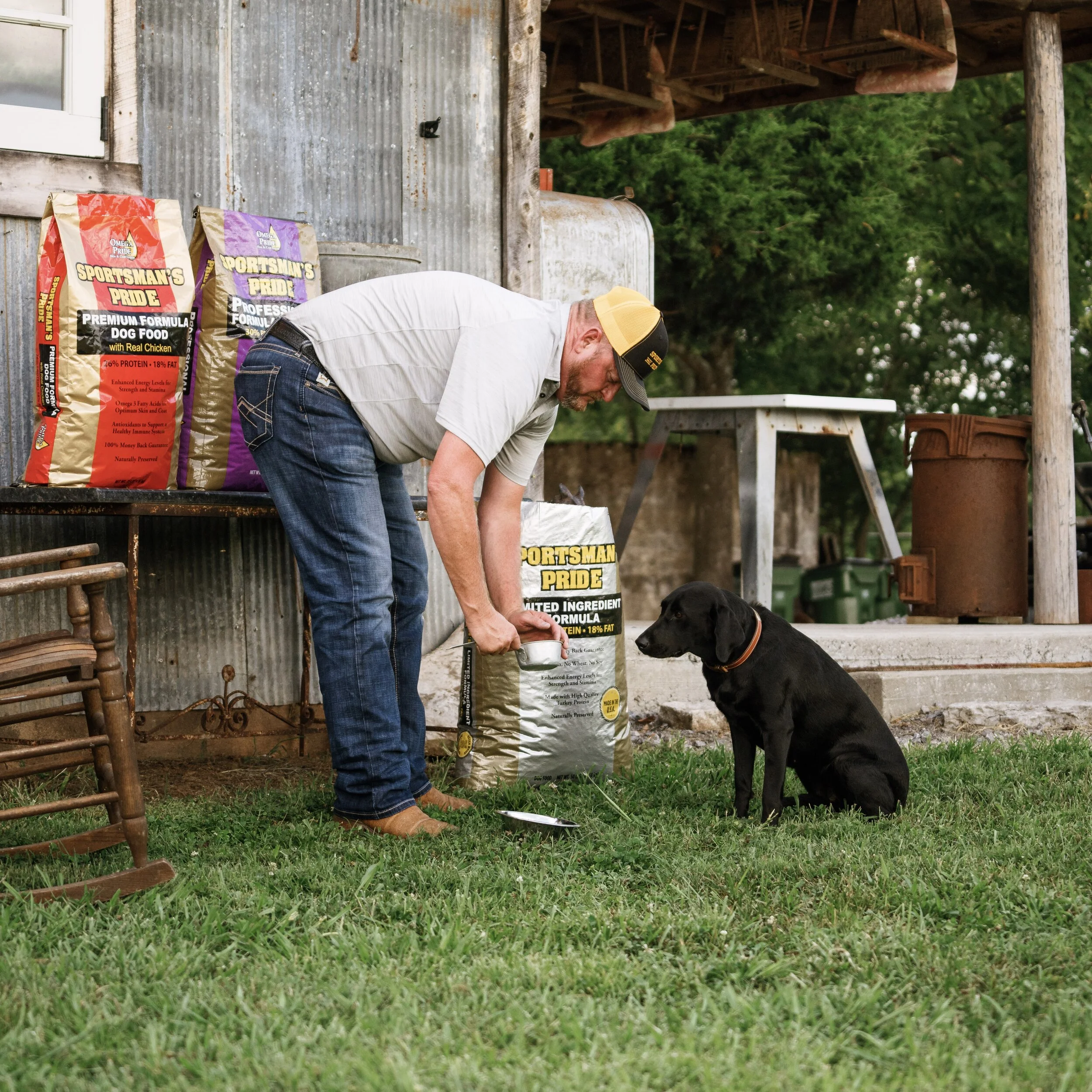 5 Tips for Off-Season Training With Your Hunting Dog — Sportsman's Pride