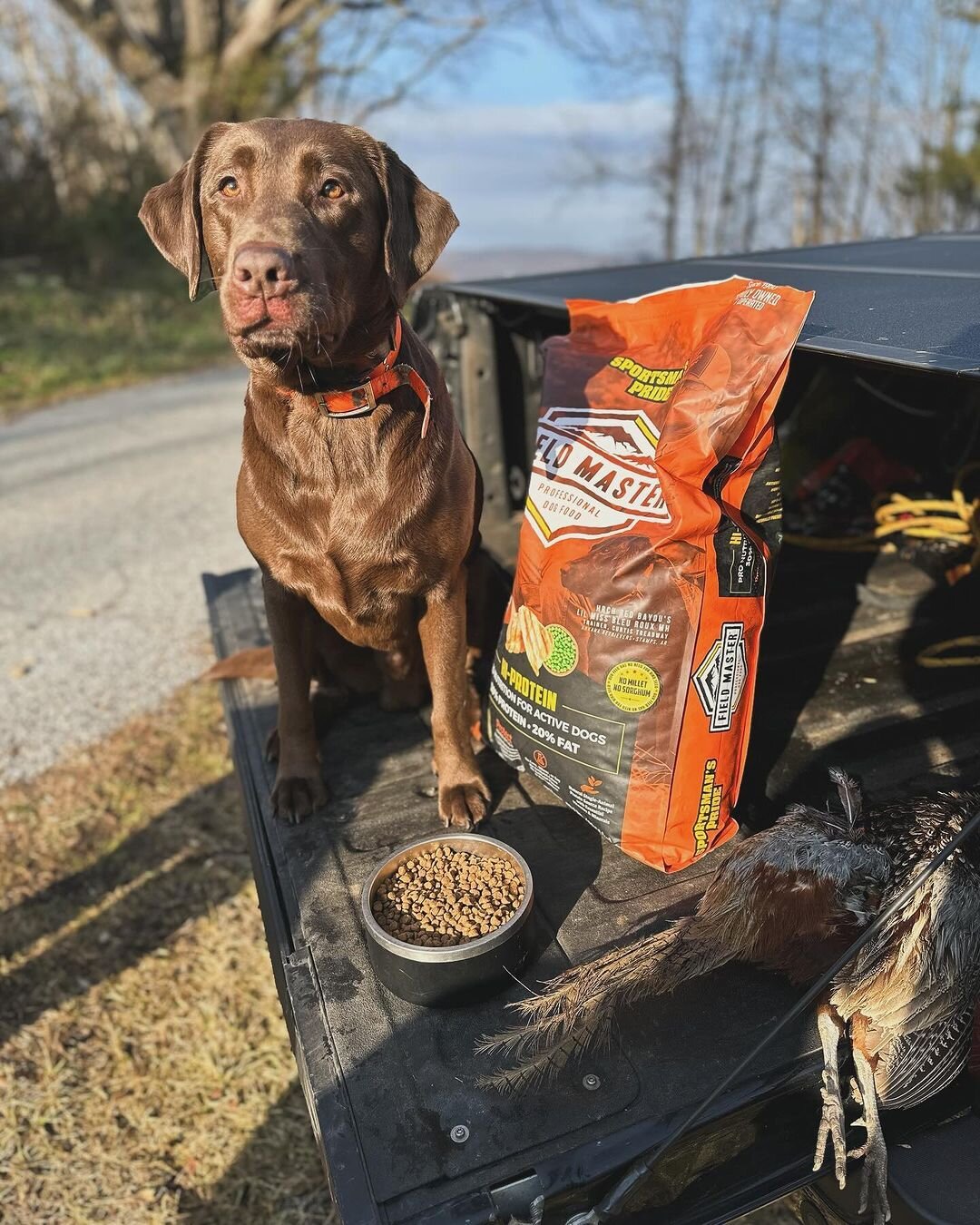 We were reached out by @koreyc71 saying he needs to get his bird dogs right. Well, we sent him a couple bags of Sportsman's Pride's Field Master Formulas! Top-quality food for top-quality dogs. 🐕 🐾

#SportsmansPride #FieldMaster #HighPerformance