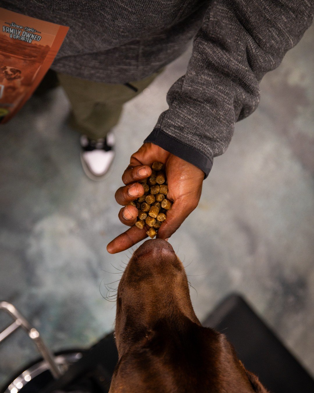 Our Training Treats are the perfect reward for hardworking dogs who never stop giving their best 🐾 

Whether you&rsquo;re working on obedience or field skills, at 3 calories per treat, they&rsquo;re the perfect tool for any time 🐶 

Get your bag in