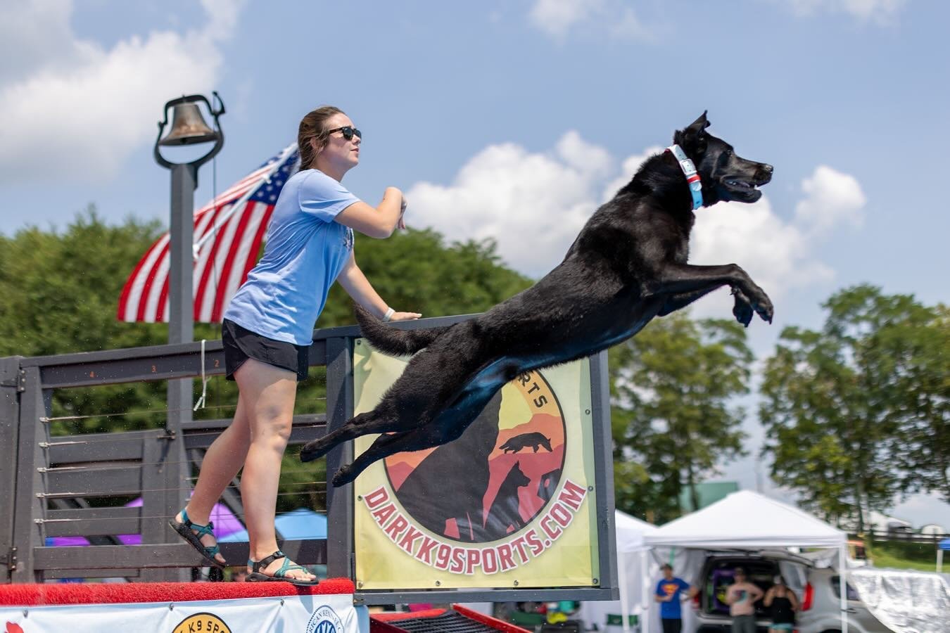 All power, no fear 🐾

Dock diving takes focus and a whole lot of heart&mdash;and @sir_bentley_beans is bringing it all 💦

#SportsmansPride #FieldMaster #PawsToTheSky