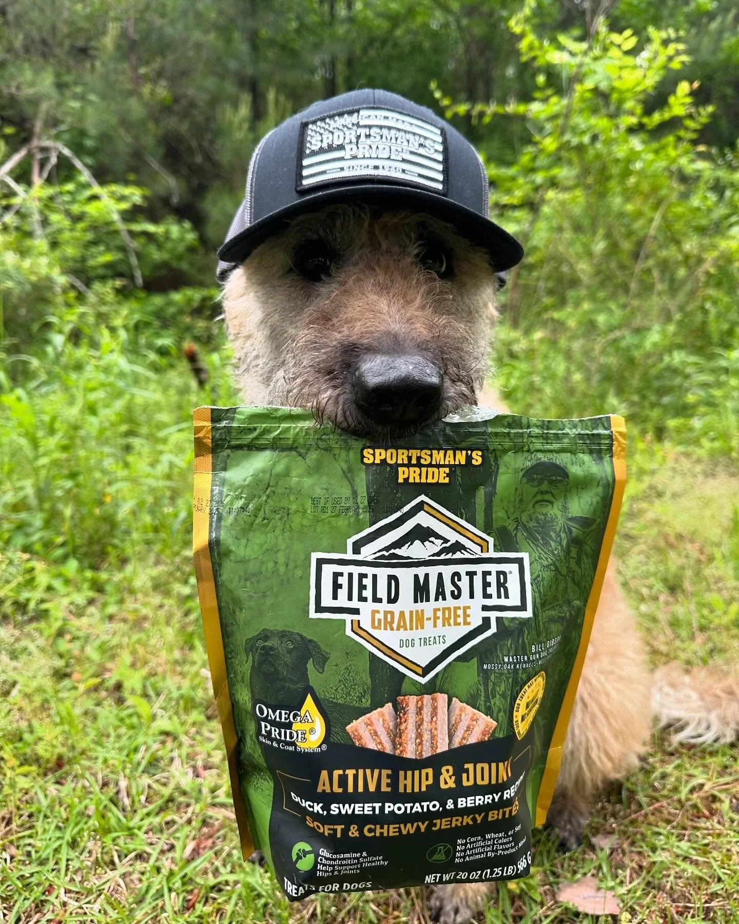 Every Field Master's partner knows how to sniff out the best treats 🐶 

Grab your bag in stores or at the link in bio 🥓

📷 : @sweetwaterbelgianlaekenois

#SportsmansPride #FieldMaster #OnTheTrail