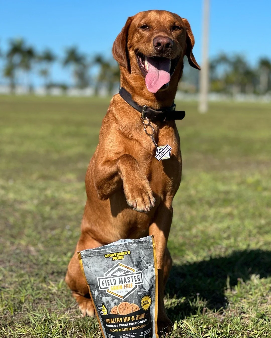 Want your partner to look as happy as @marsservicedog? 🐶 All you've gotta do is bring home the treats they really want! Get yours in stores or at the link 🍪 

#SportsmansPride #FieldMaster #SunsOutPawsUp