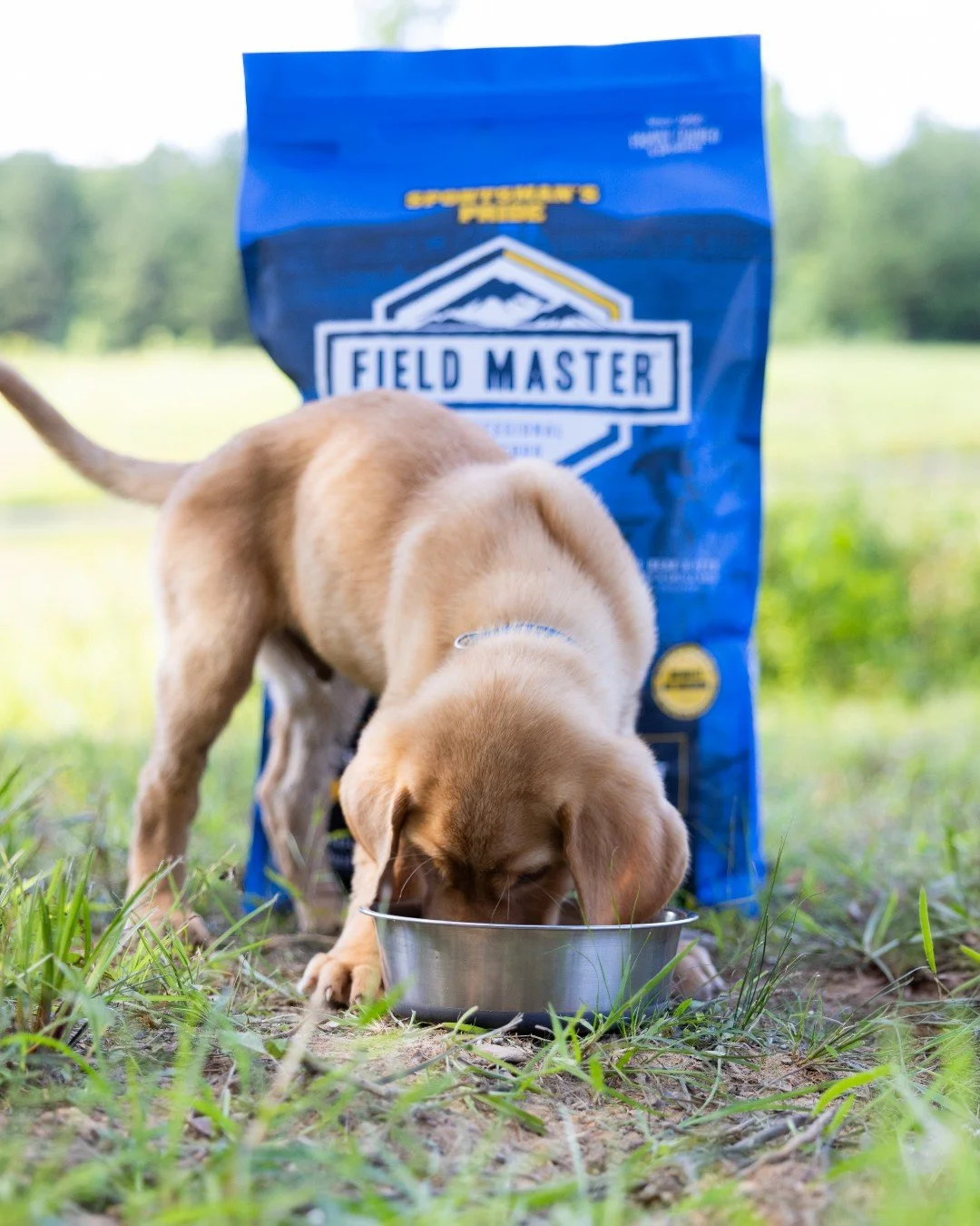 A partner this loyal deserves more than the basics 💪 Field Master Champion Puppy delivers high quality protein for dogs who give their all&mdash;whether it&rsquo;s a day of training, work, or play. 

Pick up your bag in stores or at our InShop! 

#S