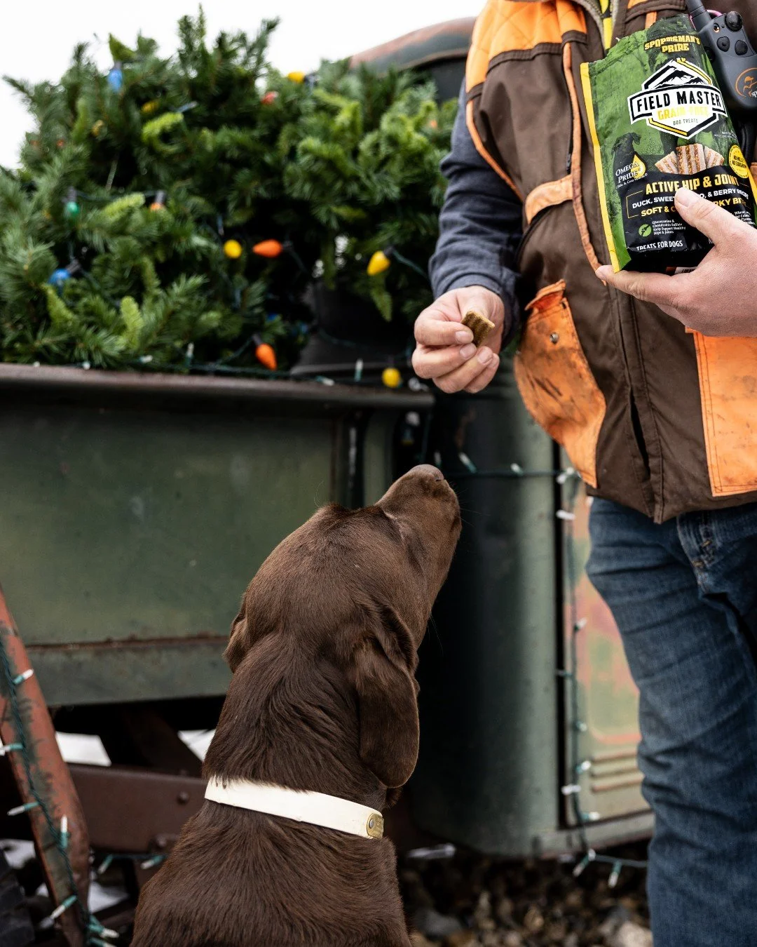 This Christmas, don't forget to give your partner the gift they love most 🥓 

Merry Christmas from the Sportsman's Pride Team 🎄 

#SportsmansPride #FieldMaster #Christmas