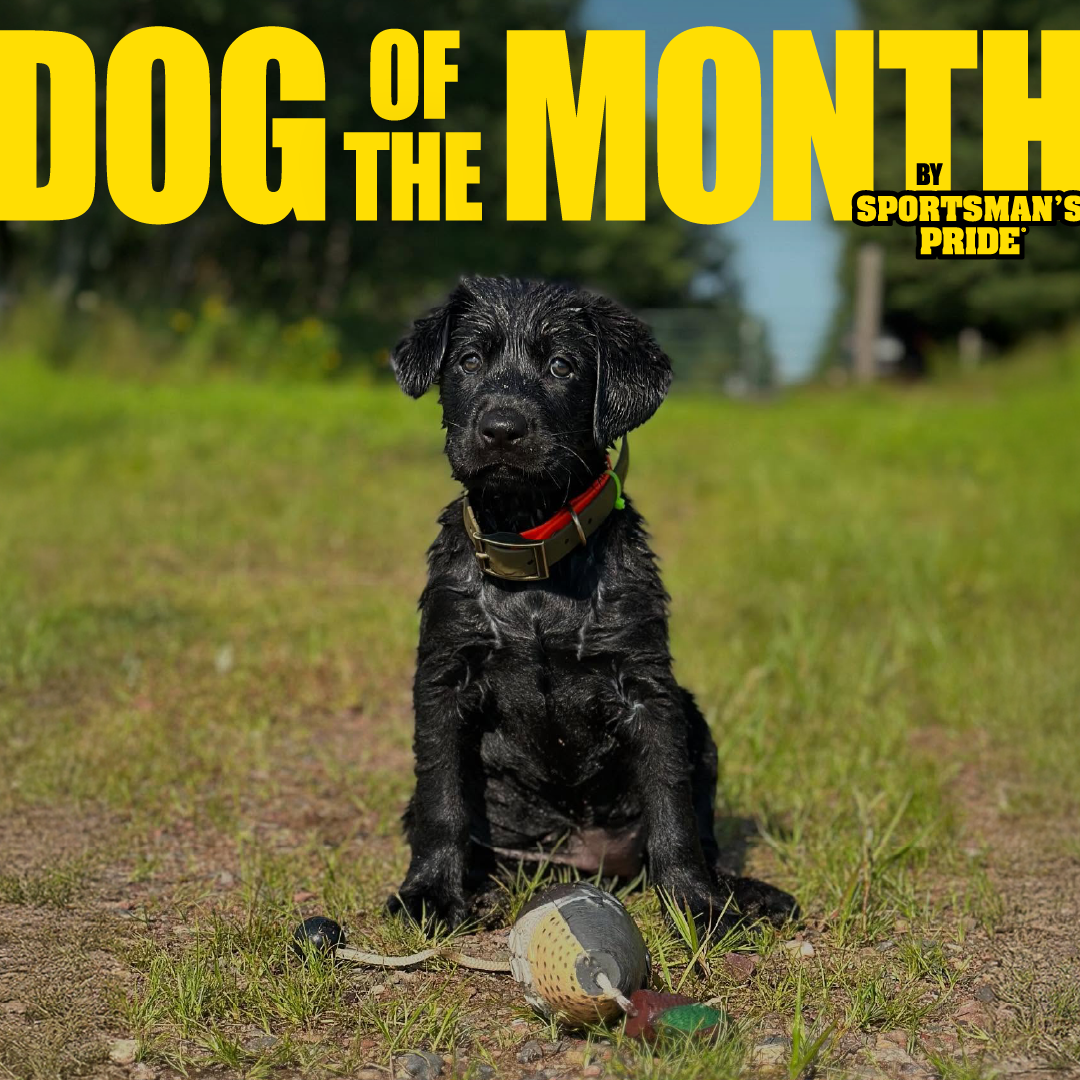 Sportsman's Pride - DOTM September (v.1).png