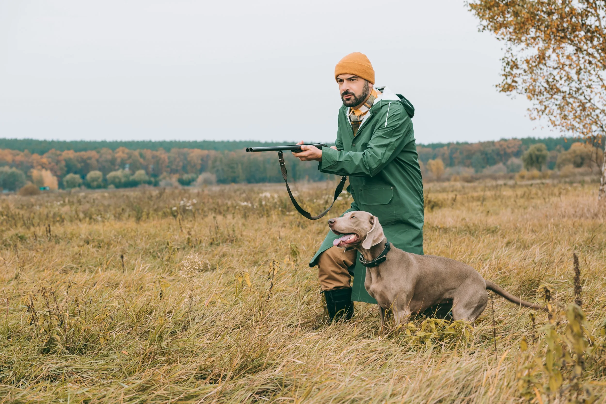 Man hunting with his dog in an open field