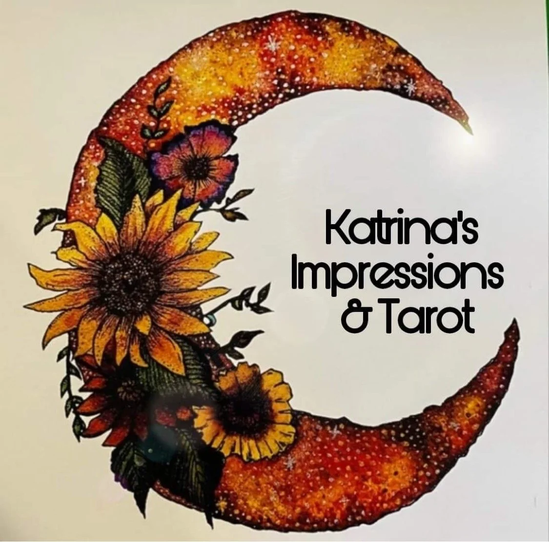 Katrina's Impressions