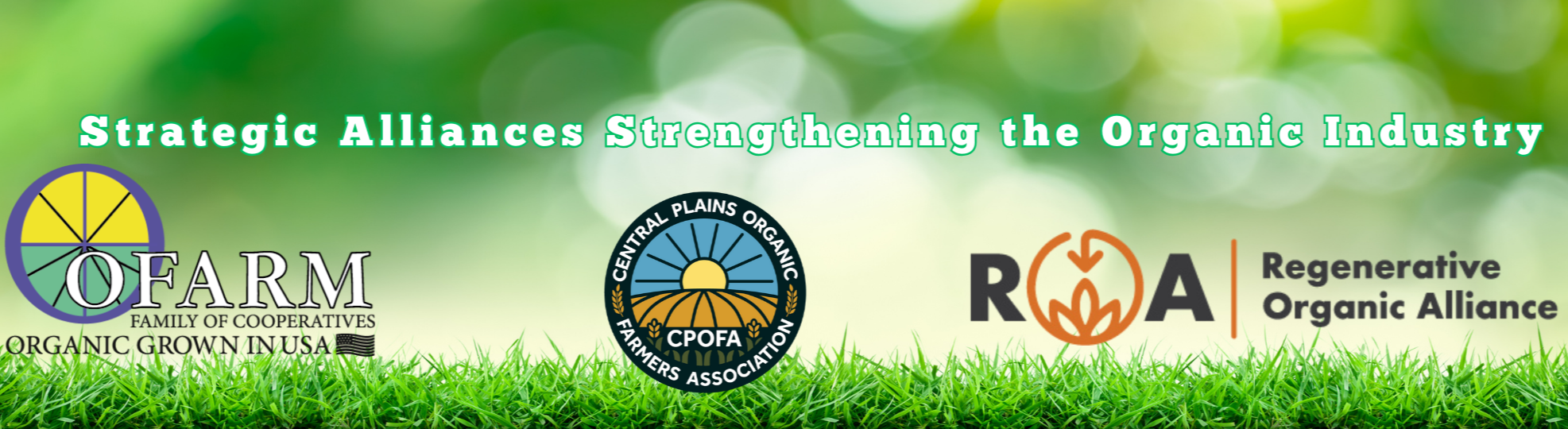 Add a heading (3).png