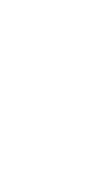WolfSpirit_350.png