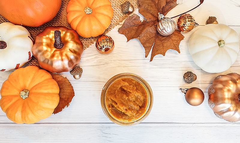 articles_pumpkin_diy_header20-800x477.png