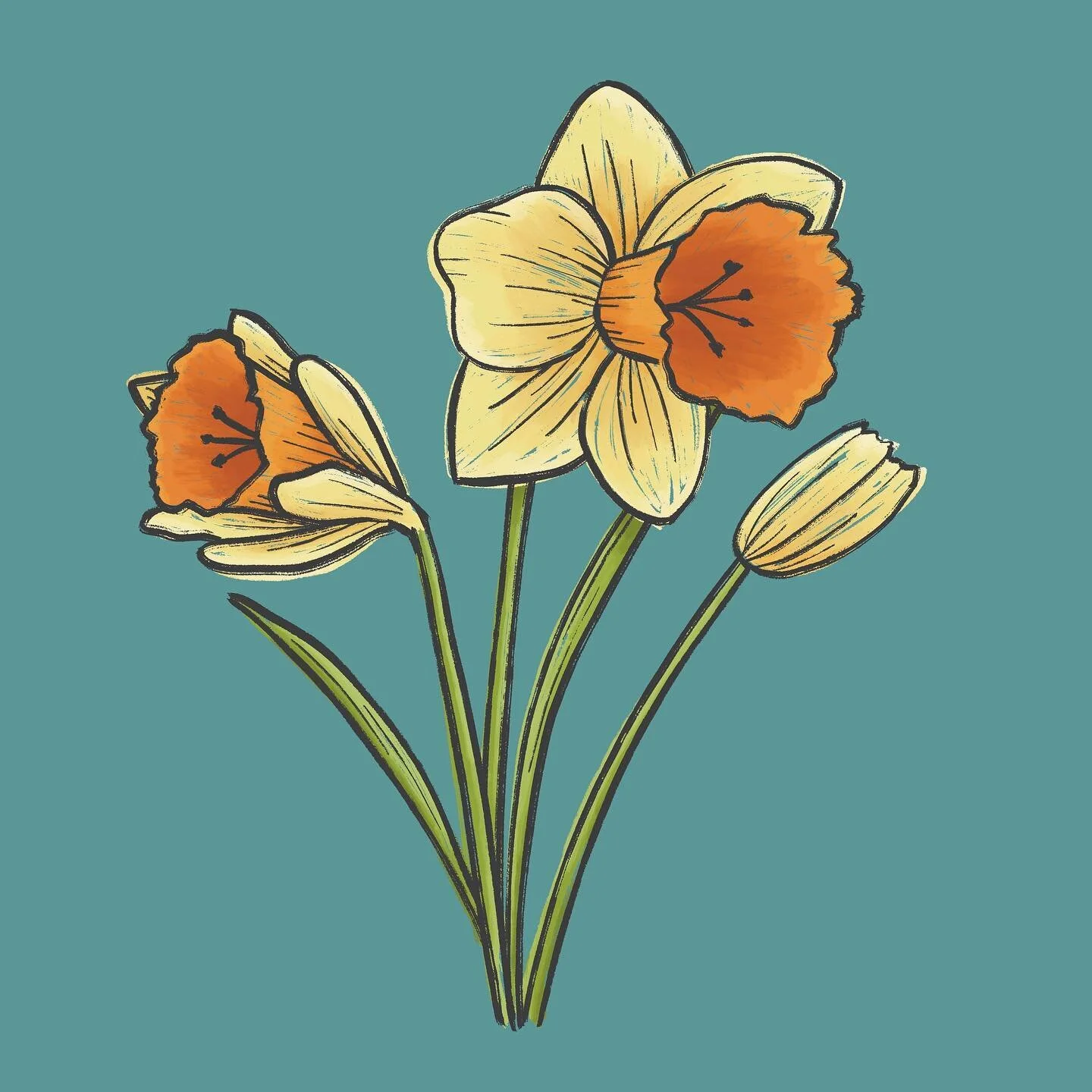 My mom asked me to draw some daffodils for her recently. She has some in her flower bed and always loves putting some in a vase. I played around with a graphic/printmaking type style for this drawing.

Daffodil - #maysflowerchildchallenge 

@thedaily