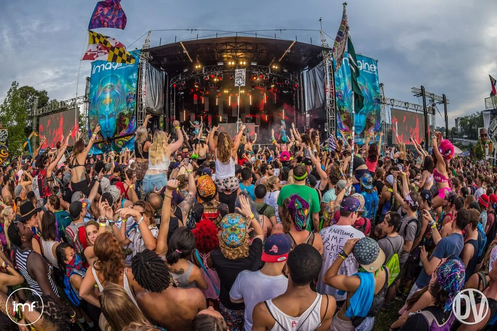 Imagine Music Festival 2015 Recap
