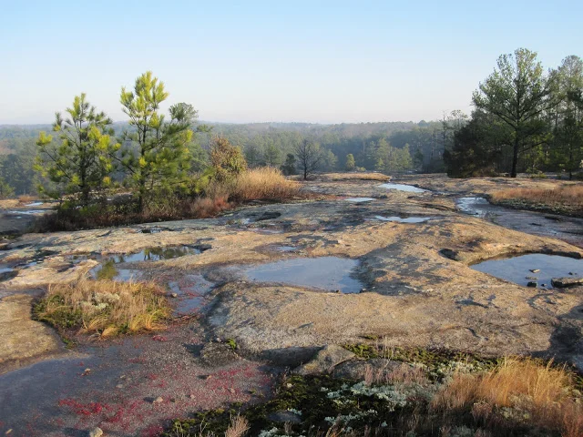 Arabia Mountain