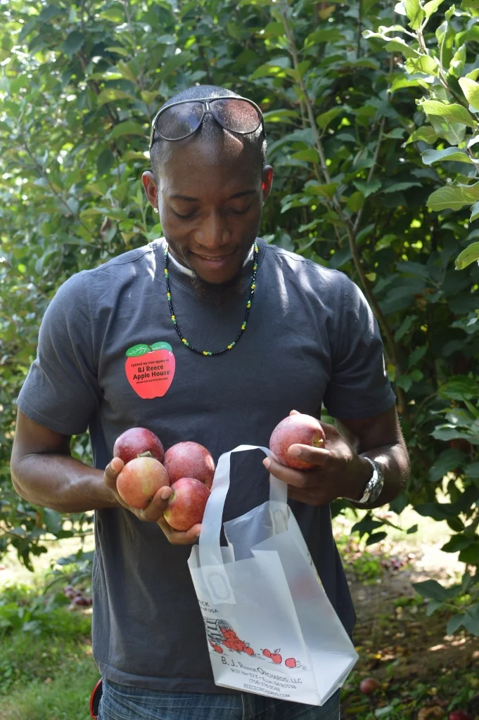 Apple Picking - Atlanta - The City Dweller (18)