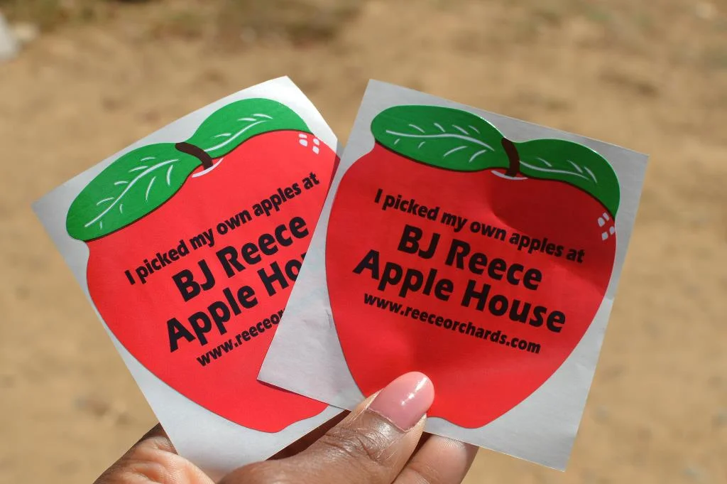 Apple Picking - Atlanta - The City Dweller (45)
