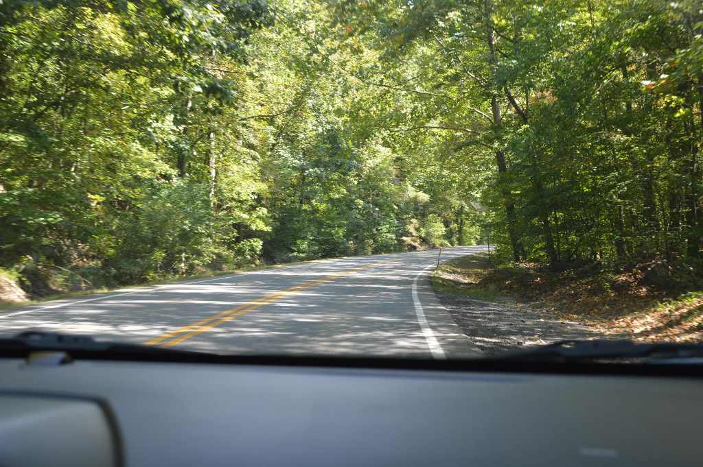 Apple Picking - Atlanta - The City Dweller (47)