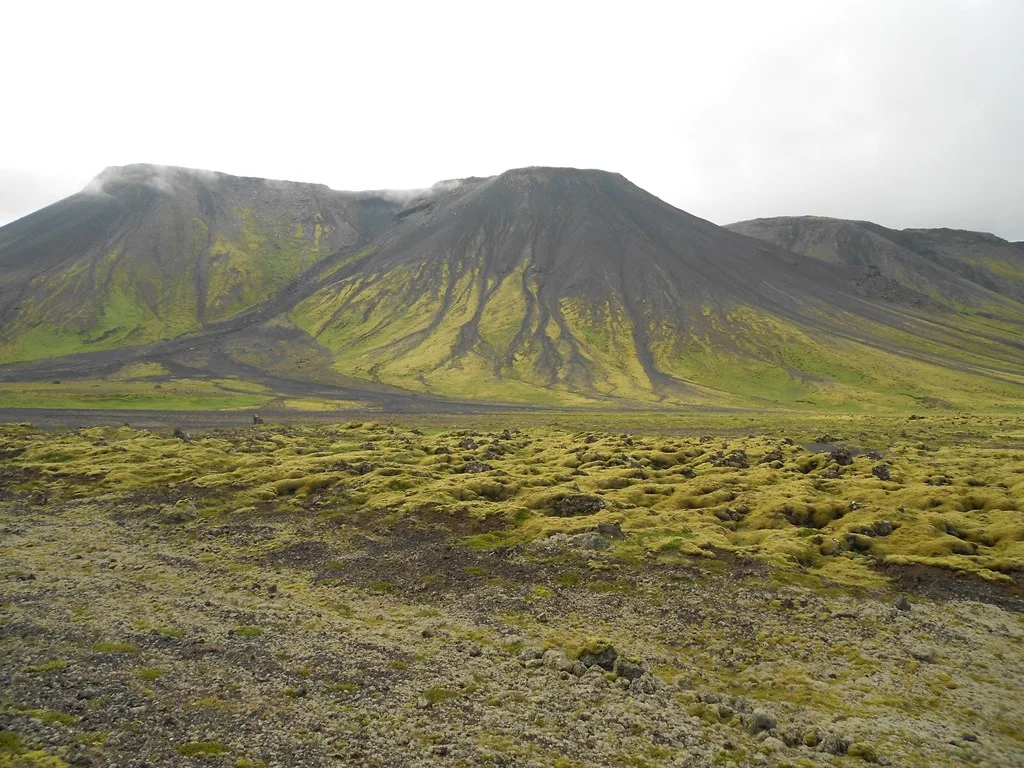 Iceland - The City Dweller (2)