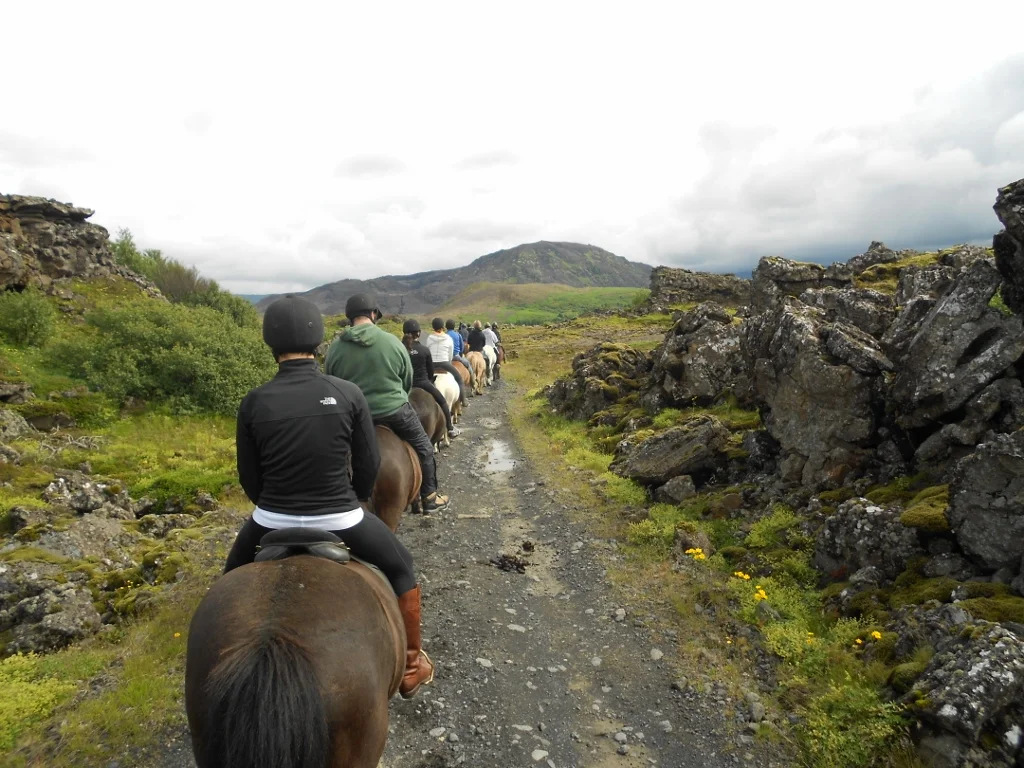 Iceland - The City Dweller (5)
