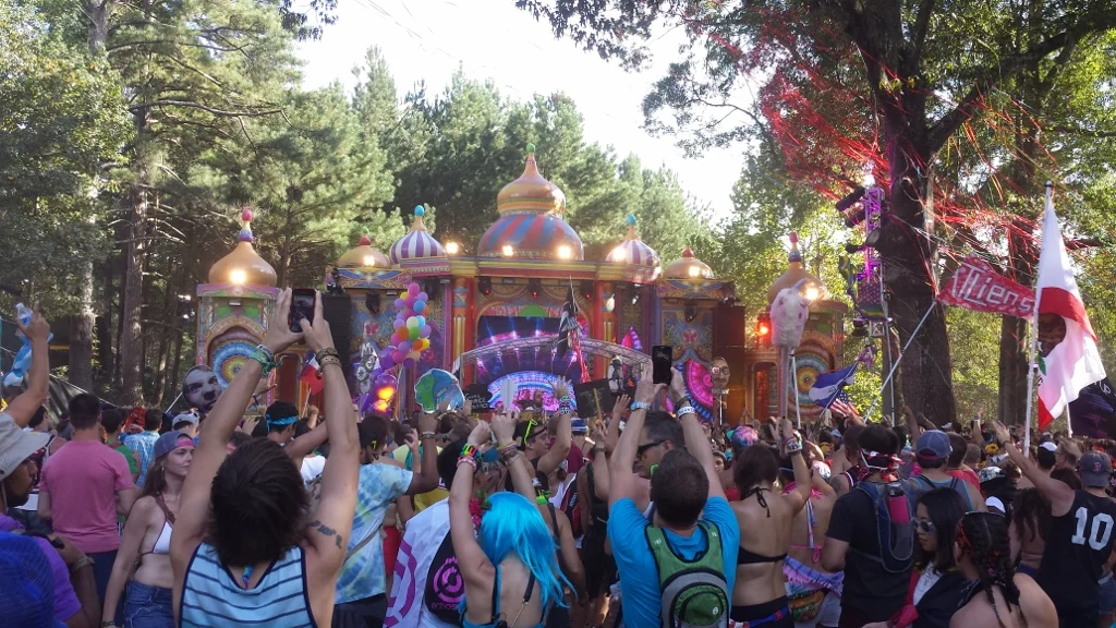 TomorrowWorld 2014 - Atlanta - The City Dweller (10)