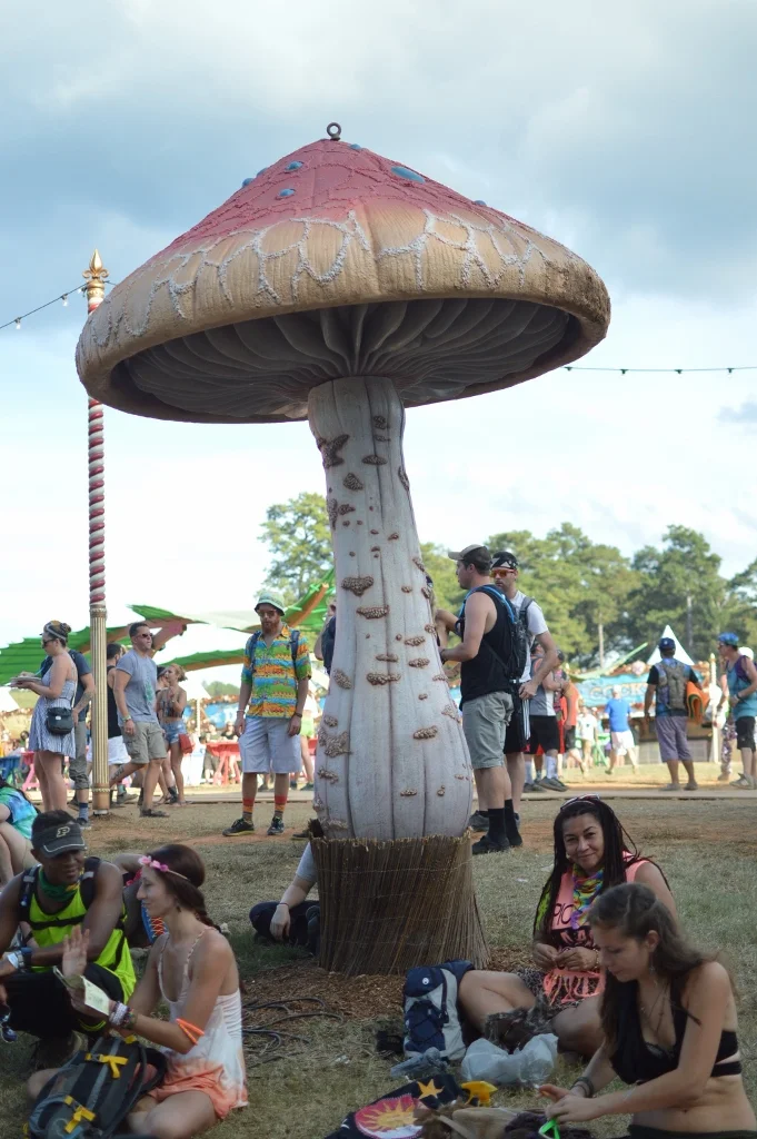 TomorrowWorld 2014 - Atlanta - The City Dweller (28)