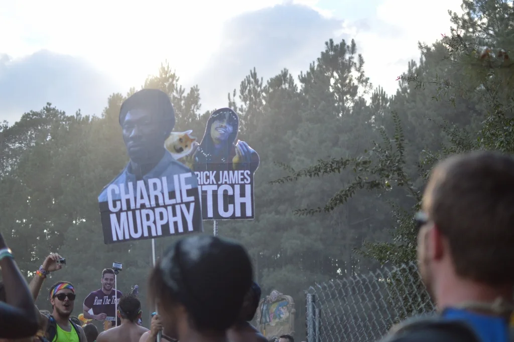 TomorrowWorld 2014 - Atlanta - The City Dweller (41)