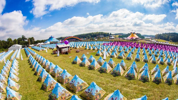 TomorrowWorld 2014 - Atlanta - The City Dweller (68)