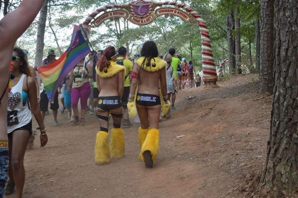 TomorrowWorld 2014 - Atlanta - The City Dweller (7)