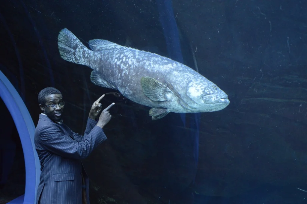 Sips Under the Sea - Georgia Aquarium - Atlanta - The City Dweller (19)