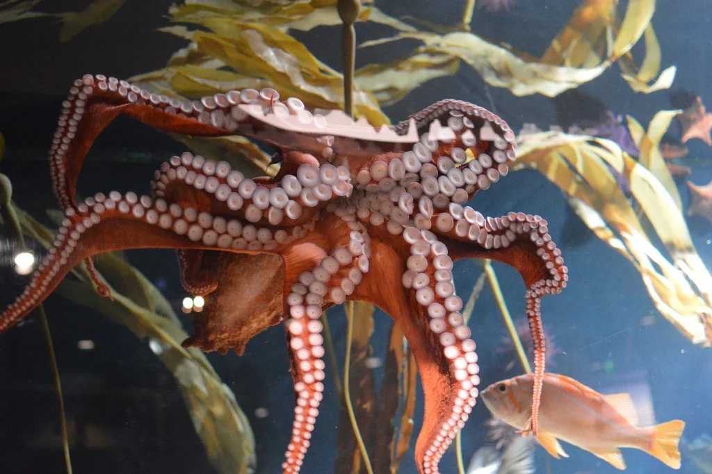 Sips Under the Sea - Georgia Aquarium - Atlanta - The City Dweller (2)