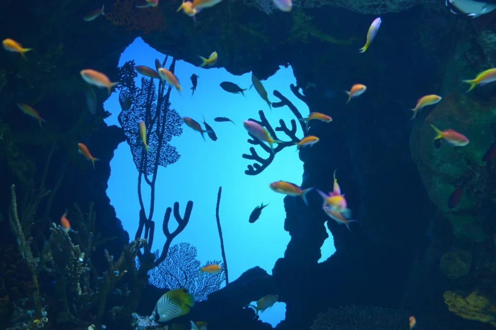 Sips Under the Sea - Georgia Aquarium - Atlanta - The City Dweller (20)